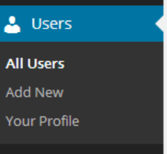 User Menu in WordPress